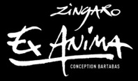 Zing,annonce